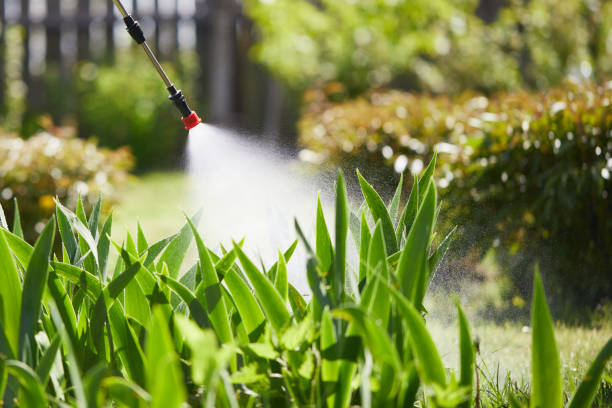 Tamper-Resistant Bait Stations for Rodents in El Sobrante